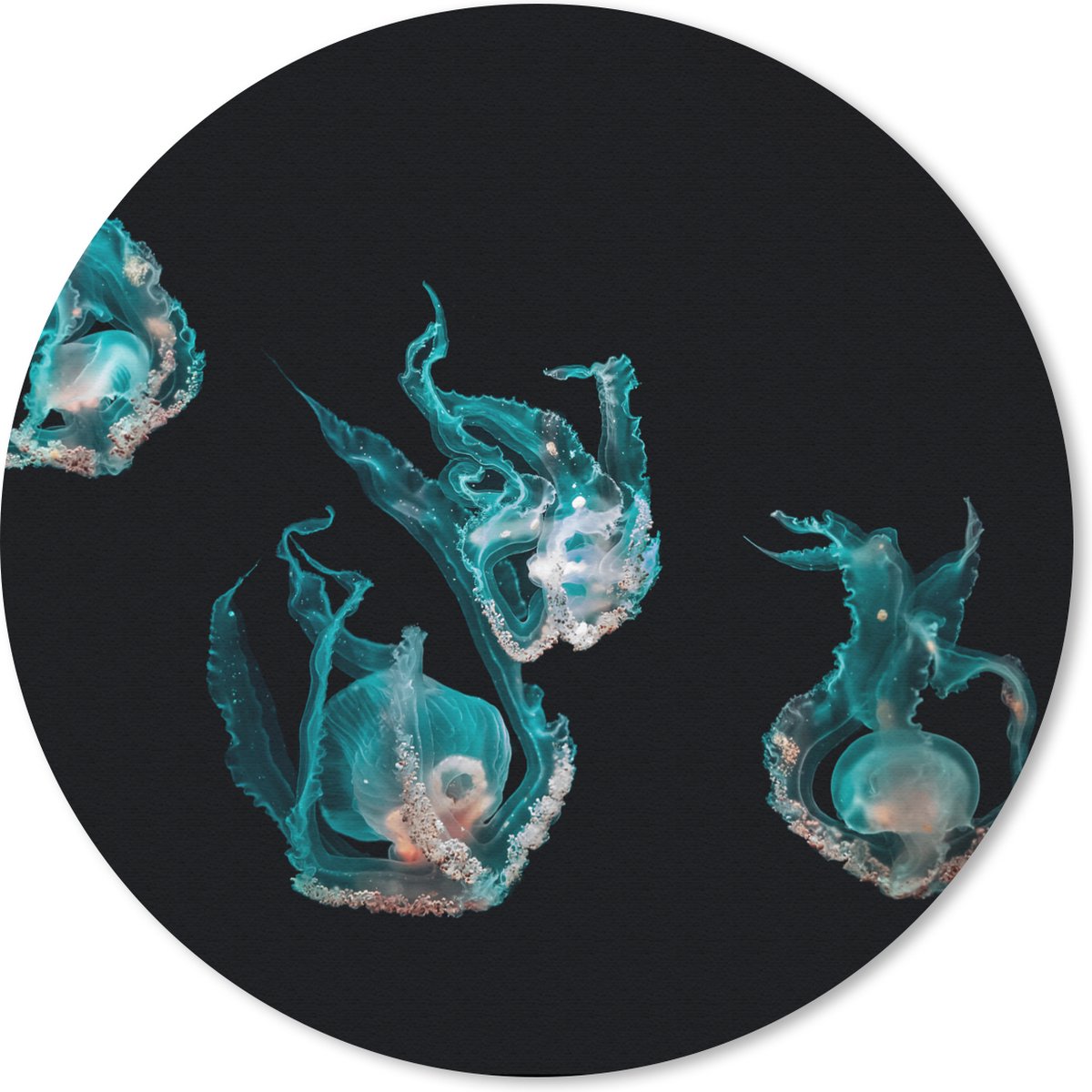 Muismat rond 50x50 cm - Mousepad Kwal - Zeedieren - Zwart - Ronde muismatten