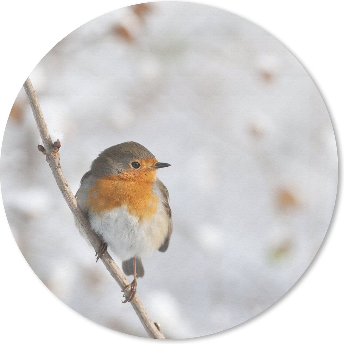 Muismat rond 40x40 cm - Mousepad Vogel - Roodborstje - Winter - Ronde muismatten