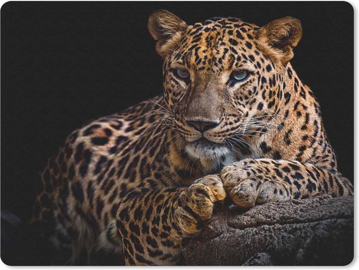 Muismat 23x19 cm - Mousepad Wilde dieren - Panter - Portret - Zwart - Dieren - Muismatten