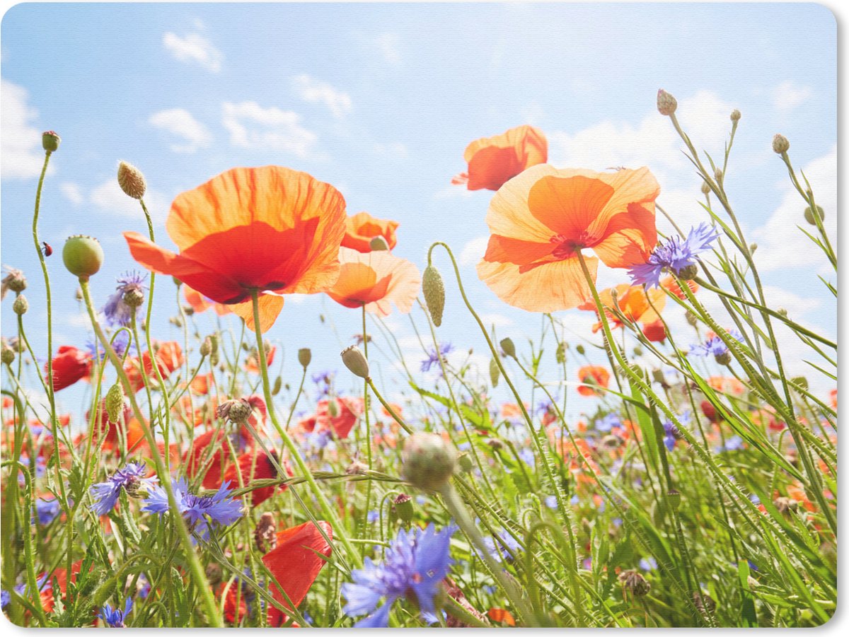 Muismat 23x19 cm - Mousepad Bloemen - Klaproos - Lente - Natuur - Rood - Blauw - Muismatten