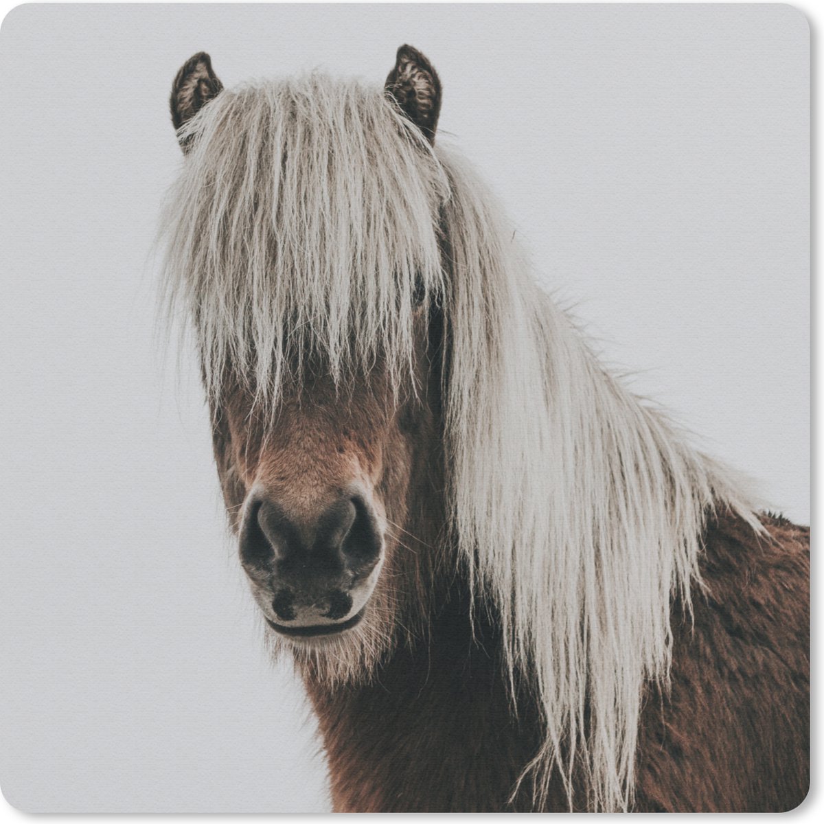 Muismat 20x20 cm - Mousepad Paarden - Dieren - Portret - Bruin - Wit - Muismatten