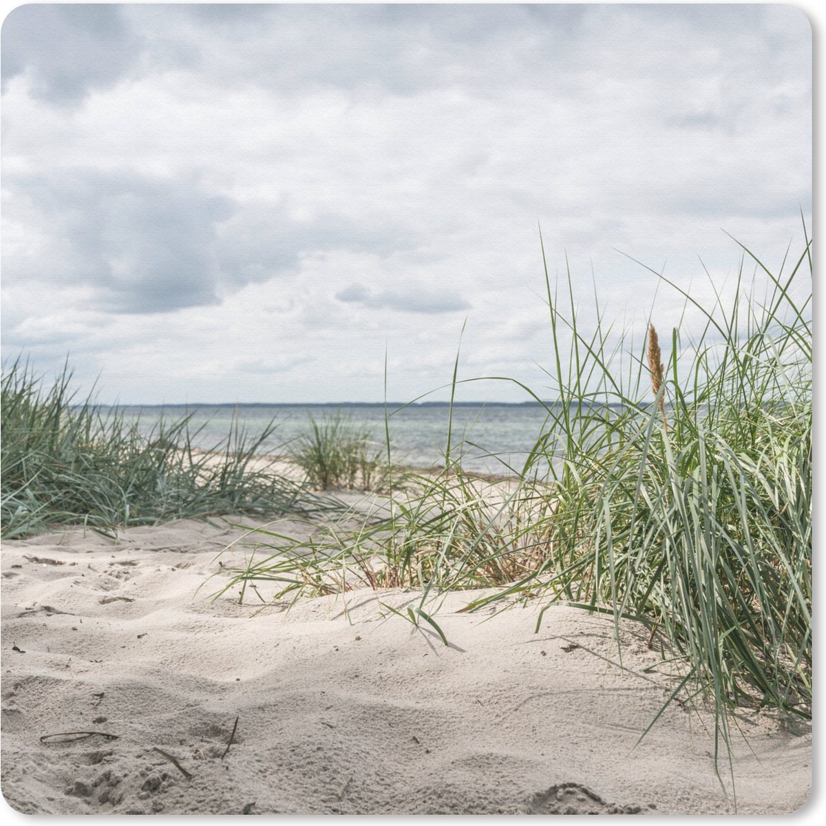Muismat 30x30 cm - Mousepad Zand - Planten - Duitsland - Muismatten