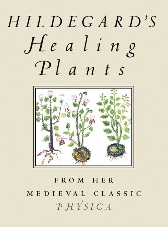 Foto: Hildegard s healing plants