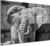 Tableaux sur verre éléphants - Tableaux Animaux - Peinture sur verre Défenses - Décoration murale moderne - Peinture verre acrylique - Oeuvre verre acrylique 90x60 cm