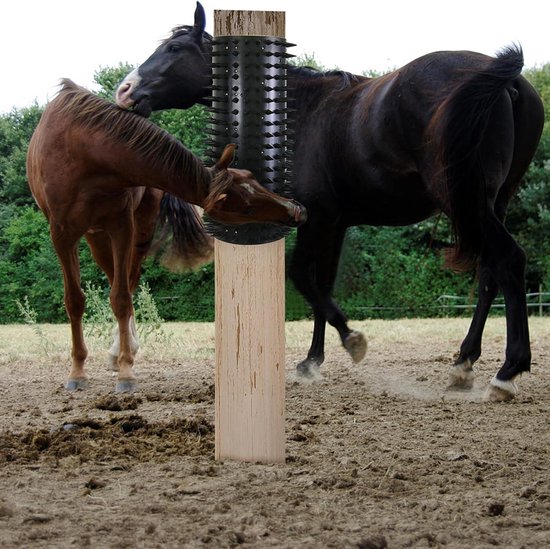 Stalbenodigdheden voor op de boerderij | Animal Center