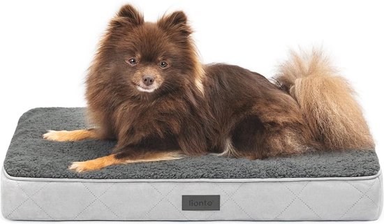 lionto Koelmat voor honden & katten, zelfkoelende huisdierenmat zorgt voor verfrissing op warme dagen, (L) 100x60 cm, opvouwbare koeldeken zonder elektriciteit, verkoeling door lichaamscontact, blauw
