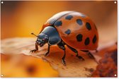 Tuinposter 120x80 cm - Tuindecoratie Lieveheersbeestje - Herfst - Insect - Rood - Bladeren - Poster voor in de tuin - Buiten decoratie - Schutting tuinschilderij - Tuindoek muurdecoratie - Wanddecoratie balkondoek