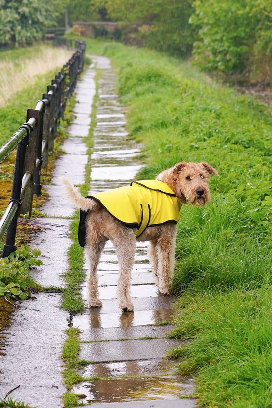 Manteau pour chien Vert Sophos Style de vie Small