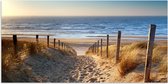 Poster Plage - Mer - Pays- Nederland - Dunes - Soleil - 150x75 cm