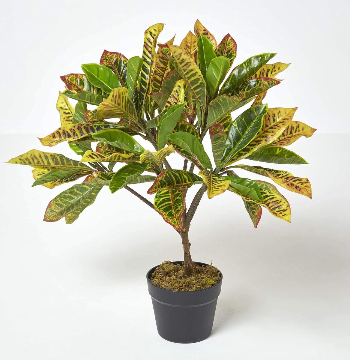 Homescapes kunstplant groen 'Wonder Shrub' in pot, 65 cm Groen-Geel-Rood