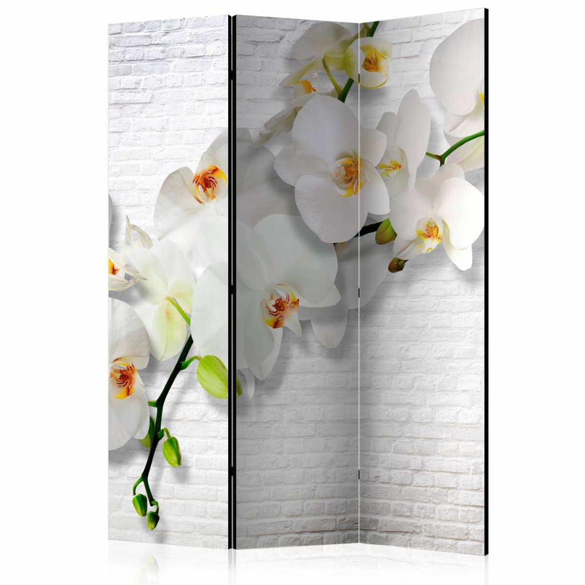 Vouwscherm / Kamerscherm - Orchidee op witte muur 135x172cm, gemonteerd geleverd dubbelzijdig geprint