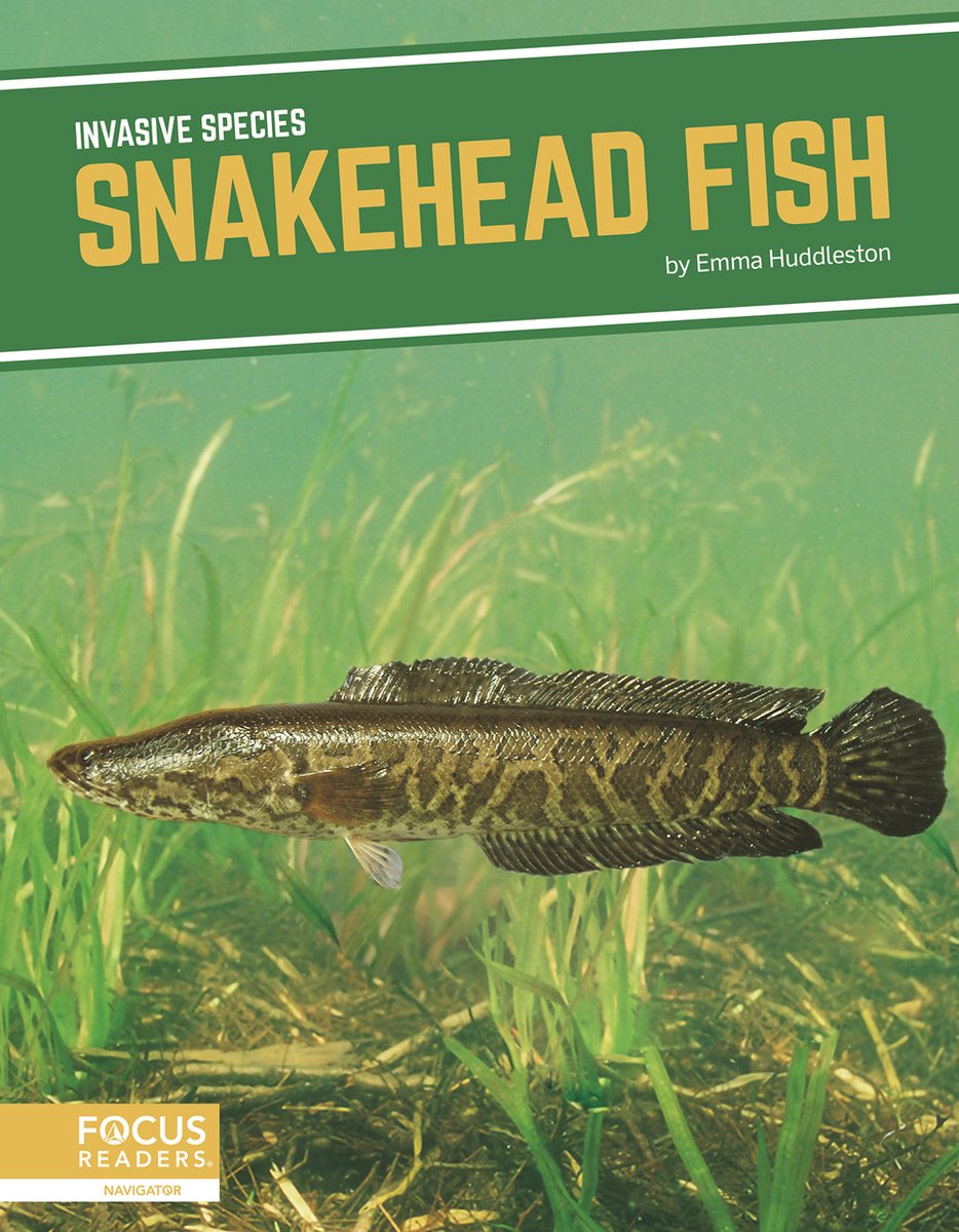 Invasive Species- Snakehead Fish van Emma Huddleston