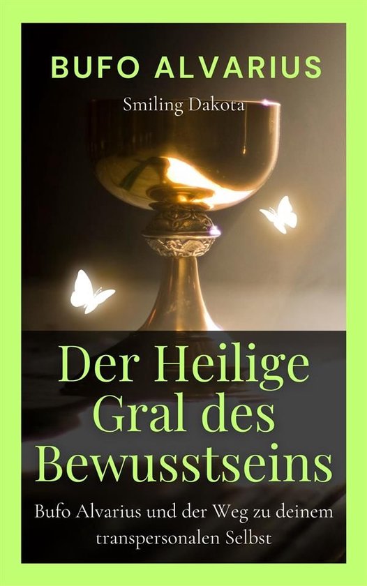 Der Heilige Gral des Bewusstseins - cover
