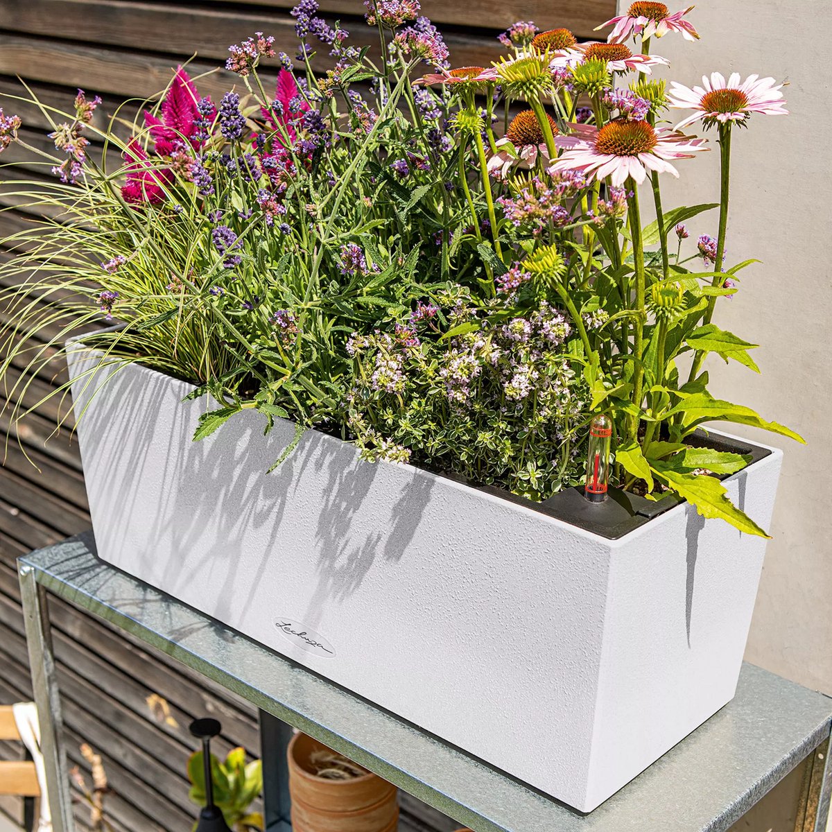 Lechuza Balconera Stone 50 - Planter - removable inner pot