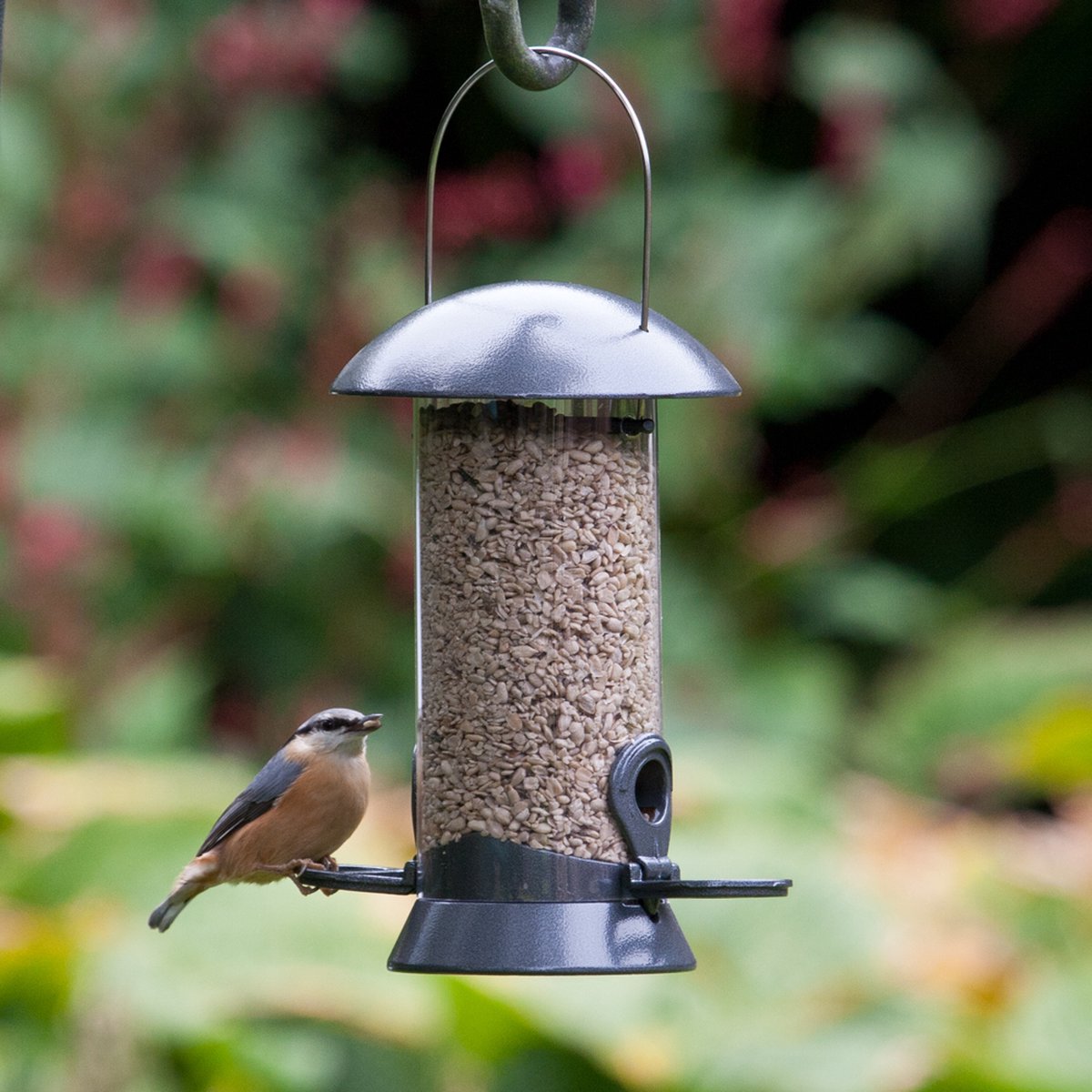 CJ Wildlife Voedersilo voor Tuinvogels - Adventurer - Vogelvoedersilo voor Kleine Vogels - Hangend Vogelvoederhuisje van 24cm - Vogelvoer Silo - Grafietgrijs