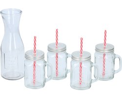 Alpina Drinkset - Karaf, 4 Glazen met Deksel en Rietje