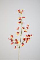 Kunstbloem - set van 2  - dancing orchidee - decoratieve tak -  71 cm - Rood