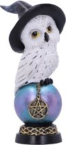 Nemesis Now Figurine Owl's Talisman Hibou Multicolore