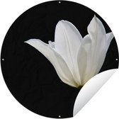 Tuincirkel Witte tulp - 120x120 cm - Ronde Tuinposter - Buiten XXL / Groot formaat!