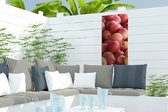 Tuinposter Appel - Rood - Fruit - 30x60 cm - Tuindoek - Buitenposter