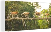 Tableau sur toile Singes marchant sur une branche - 80x40 cm - Décoration murale