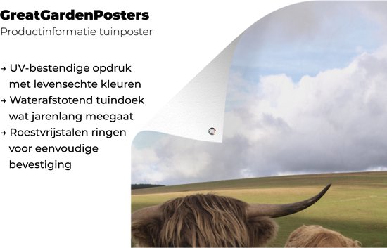 Affiche de jardin Scottish Highlander - Vaches - Nature - 30x60 cm - Toile jardin - Affiche extérieure