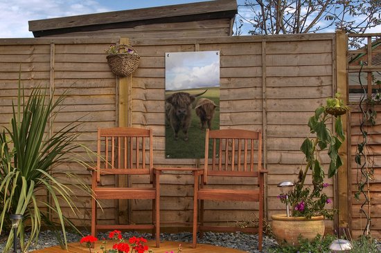 Affiche de jardin Scottish Highlander - Vaches - Nature - 30x60 cm - Toile jardin - Affiche extérieure