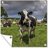 Tuinposters Koeien - Dieren - Fries - 50x50 cm - Tuindoek - Buitenposter