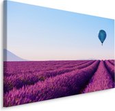 Schilderij  - Luchtbalen over een lavendelveld, premium print