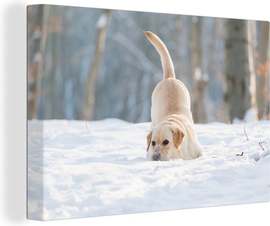 Canvas Schilderij Weergave van een labrador hond spelend in de sneeuw - 90x60 cm - Wanddecoratie