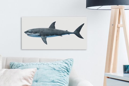 Toile Peinture Requin - Illustration - Wit - 40x20 cm - Décoration murale