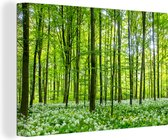 Canvas Schilderij Groen bos in de lente in Denemarken - 120x80 cm - Wanddecoratie