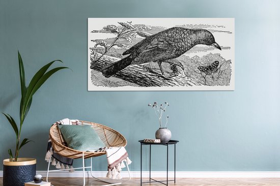 Tableau Tableau Merle - Illustration - Branche - 160x80 cm - Décoration murale