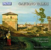 Alessandro Perin & Roberto Loreggian - Valeri: Opere Per Organo (2 CD)