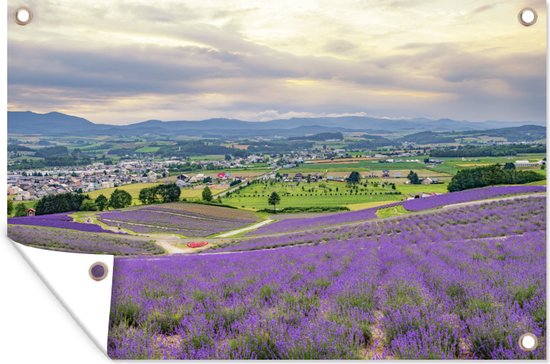 Tuinposter - Tuindoek - Tuinposters buiten - Furano - Lavendel - Bloemen - 120x80 cm - Tuin