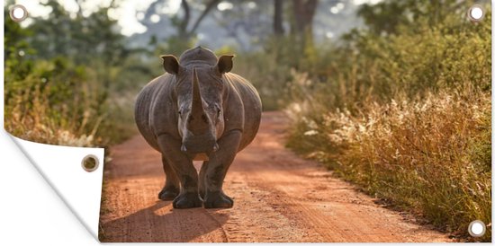 Affiche de jardin Rhinocéros marchant dans le parc Kruger, Afrique du Afrique - 80x40 cm