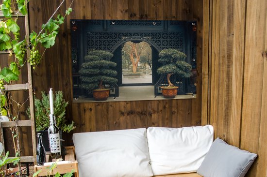 Affiche de jardin bonsaï chinois - 120x80 cm - Jardin
