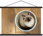 Affiche textielposter Un chat Ragdoll dans un seau en plastique 120x80 cm