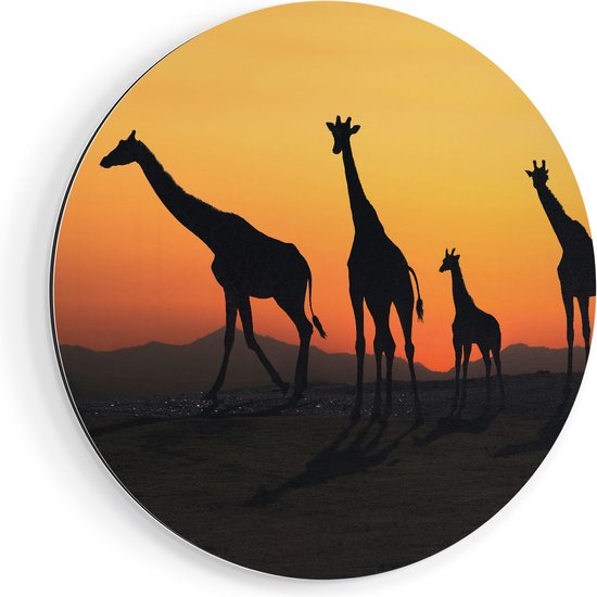 Artaza Dibond Muurcirkel Vier Giraffe Silhouetten Bij Zonsondergang - Ø 40 cm - Klein - Wandcirkel - Rond Schilderij - Voor Binnen en Buiten