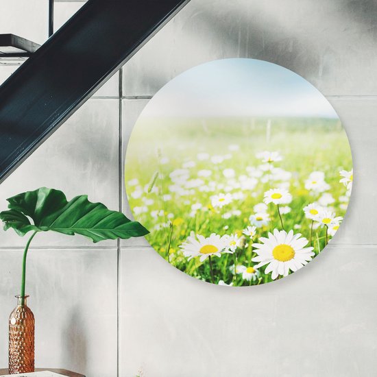 Artaza Dibond Cercle Mural Champ De Fleurs Champ De Marguerites - Fleurs - Ø 50 cm - Klein - Cercle Mural - Tableau Rond - Pour Intérieur et Extérieur