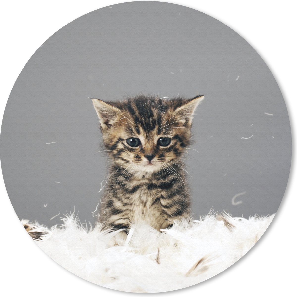 Muismat rond 20x20 cm - Mousepad Kat - Kitten - Veren - Ronde muismatten