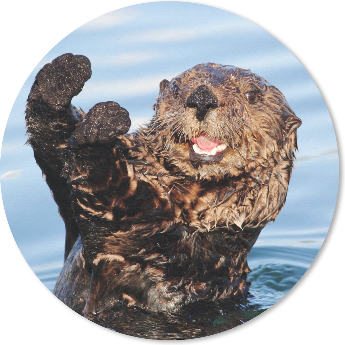 Muismat rond 30x30 cm - Mousepad Otter in het water - Ronde muismatten