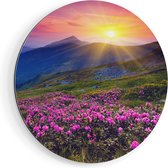 Artaza Cercle mural Dibond Champ de fleurs de rhododendrons roses - Montagnes - Ø 90 cm - Groot - Cercle mural - Peinture ronde - Pour intérieur et extérieur