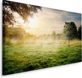 Schilderij - Mist in het Bos, 5 maten, Premium Print