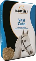 EquiFirst Vital Cube 20 kg