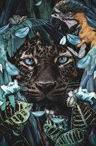 Blue eyed Panther - Dibond, 100x125