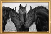 JUNIQE - Poster met houten lijst Black and White Horses -30x45 /Grijs