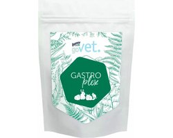 Bunny Nature GoVet Gastroplex 325 gr
