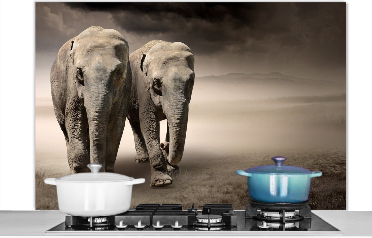 Spatscherm keuken 120x80 cm - Kookplaat achterwand Olifant - Berg - Mist - Muurbeschermer - Spatwand fornuis - Hoogwaardig aluminium