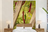 Behang - Fotobehang Groene en rode cayenne paprika's groeien in de natuur - Breedte 160 cm x hoogte 240 cm